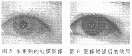 ic72新闻中心