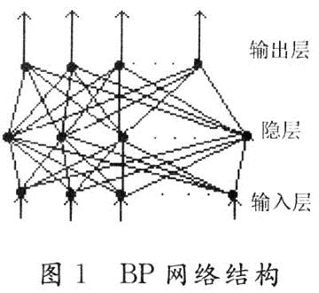 三层前馈网络模型