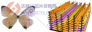 DARPA投资630万美元支持GE开发生物传感器
